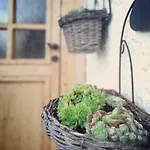 In Der Schlipfing Mit Garten *