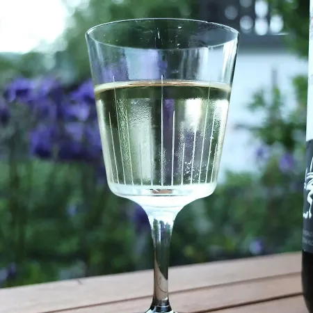 In Der Schlipfing Mit Garten Semesterbostad