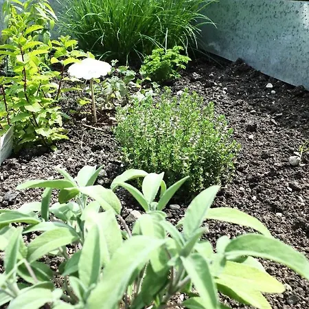 度假居 In Der Schlipfing Mit Garten 阿尔特穆斯特