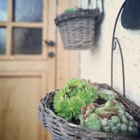 In Der Schlipfing Mit Garten *