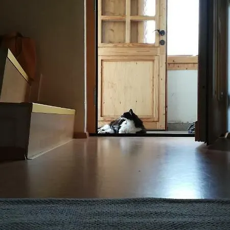 In Der Schlipfing Mit Garten Altmuenster