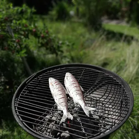 度假居 In Der Schlipfing Mit Garten 阿尔特穆斯特