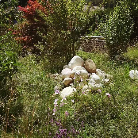 In Der Schlipfing Mit Garten 度假居 *