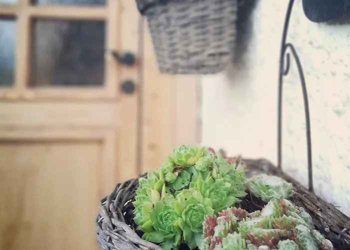 In Der Schlipfing Mit Garten *