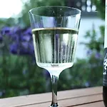 In Der Schlipfing Mit Garten Дом отдыха
