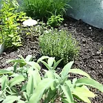 Дом отдыха In Der Schlipfing Mit Garten Альтмюнстер