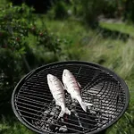 Дом отдыха In Der Schlipfing Mit Garten Альтмюнстер