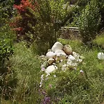 In Der Schlipfing Mit Garten Дом отдыха *