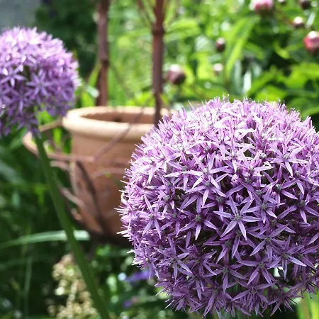 Feriehus In Der Schlipfing Mit Garten
