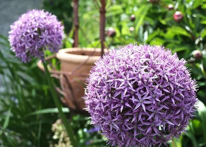 Prázdninový dům In Der Schlipfing Mit Garten