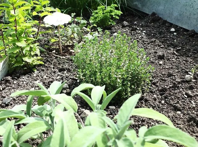 Prázdninový dům In Der Schlipfing Mit Garten Altmünster