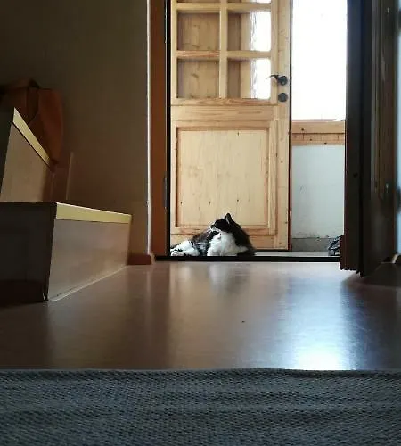 In Der Schlipfing Mit Garten Altmünster