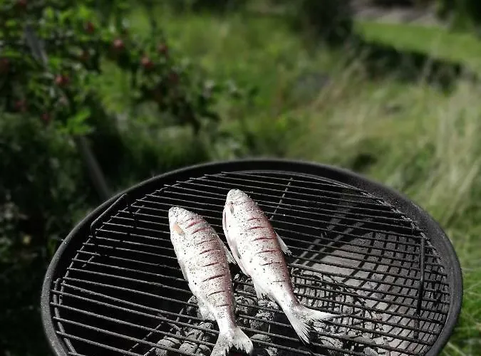 別荘 In Der Schlipfing Mit Garten Altmünster